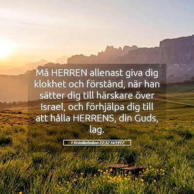 Picture 05 - 1 Krönikeboken 22:12 SV1917 - Må HERREN allenast giva dig klokhet och - Bible Verse Picture