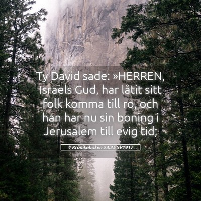 Picture 05 - 1 Krönikeboken 23:25 SV1917 - Ty David sade: »HERREN, Israels Gud, har låtit - Bible Verse Picture