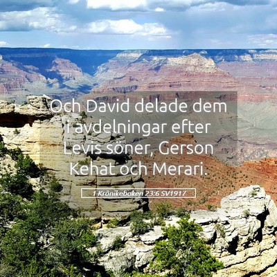 Picture 05 - 1 Krönikeboken 23:6 SV1917 - Och David delade dem i avdelningar efter Levis - Bible Verse Picture