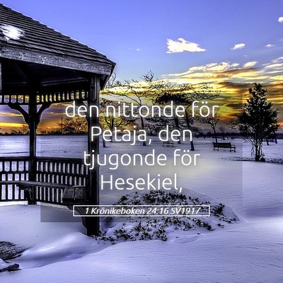 Picture 05 - 1 Krönikeboken 24:16 SV1917 - den nittonde för Petaja, den tjugonde för - Bible Verse Picture