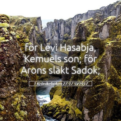 Picture 05 - 1 Krönikeboken 27:17 SV1917 - för Levi Hasabja, Kemuels son; för Arons släkt - Bible Verse Picture