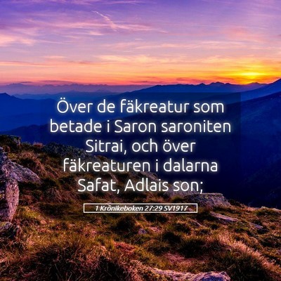 Picture 05 - 1 Krönikeboken 27:29 SV1917 - Över de fäkreatur som betade i Saron saroniten - Bible Verse Picture