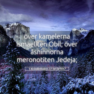 Picture 05 - 1 Krönikeboken 27:30 SV1917 - över kamelerna ismaeliten Obil; över - Bible Verse Picture