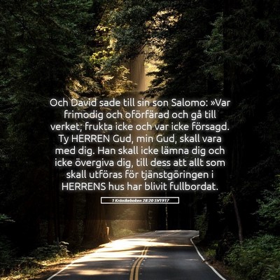 Picture 05 - 1 Krönikeboken 28:20 SV1917 - Och David sade till sin son Salomo: »Var - Bible Verse Picture