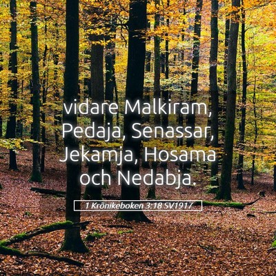 Picture 05 - 1 Krönikeboken 3:18 SV1917 - vidare Malkiram, Pedaja, Senassar, Jekamja, - Bible Verse Picture