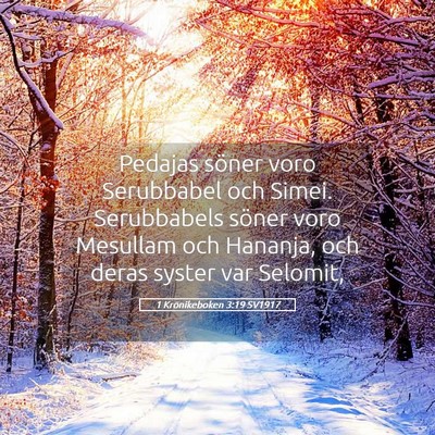 Picture 05 - 1 Krönikeboken 3:19 SV1917 - Pedajas söner voro Serubbabel och Simei. - Bible Verse Picture