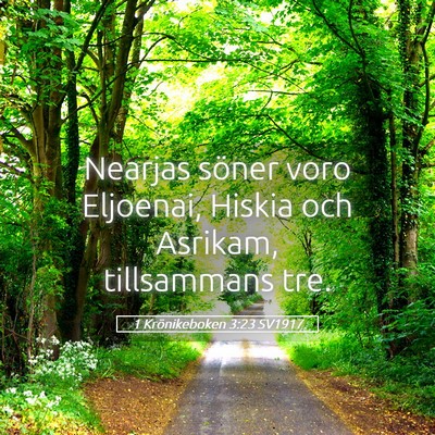 Picture 05 - 1 Krönikeboken 3:23 SV1917 - Nearjas söner voro Eljoenai, Hiskia och Asrikam, - Bible Verse Picture