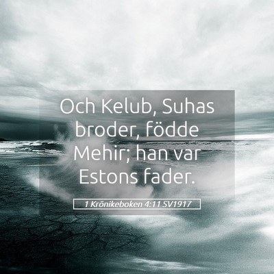 Picture 05 - 1 Krönikeboken 4:11 SV1917 - Och Kelub, Suhas broder, födde Mehir; han var - Bible Verse Picture