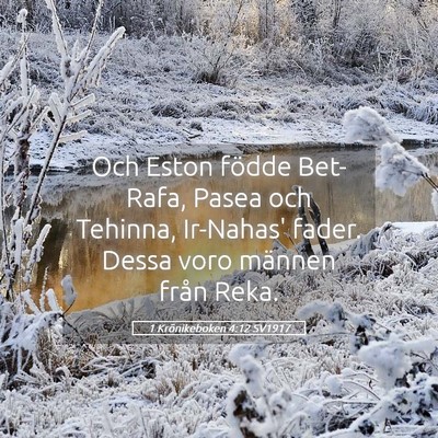 Picture 05 - 1 Krönikeboken 4:12 SV1917 - Och Eston födde Bet-Rafa, Pasea och Tehinna, - Bible Verse Picture