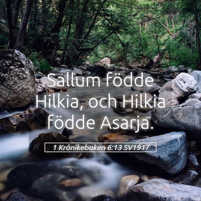 Picture 05 - 1 Krönikeboken 6:13 SV1917 - Sallum födde Hilkia, och Hilkia födde - Bible Verse Picture