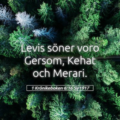 Picture 05 - 1 Krönikeboken 6:16 SV1917 - Levis söner voro Gersom, Kehat och - Bible Verse Picture