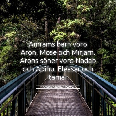 Picture 05 - 1 Krönikeboken 6:3 SV1917 - Amrams barn voro Aron, Mose och Mirjam. Arons - Bible Verse Picture