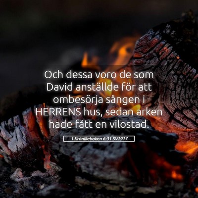 Picture 05 - 1 Krönikeboken 6:31 SV1917 - Och dessa voro de som David anställde för att - Bible Verse Picture