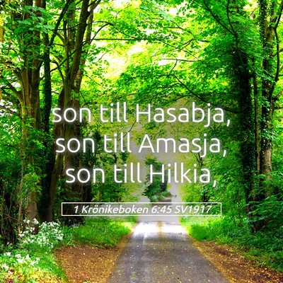 Picture 05 - 1 Krönikeboken 6:45 SV1917 - son till Hasabja, son till Amasja, son till - Bible Verse Picture