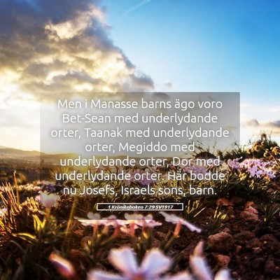 Picture 05 - 1 Krönikeboken 7:29 SV1917 - Men i Manasse barns ägo voro Bet-Sean med - Bible Verse Picture