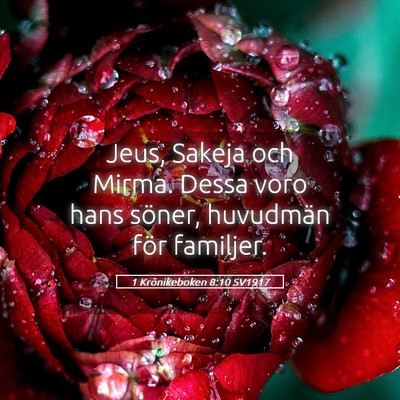 Picture 05 - 1 Krönikeboken 8:10 SV1917 - Jeus, Sakeja och Mirma. Dessa voro hans söner, - Bible Verse Picture