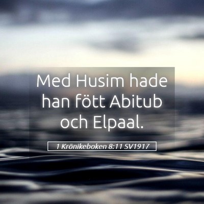 Picture 05 - 1 Krönikeboken 8:11 SV1917 - Med Husim hade han fött Abitub och - Bible Verse Picture