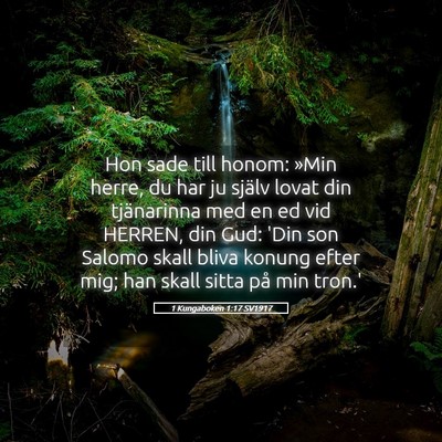 Picture 05 - 1 Kungaboken 1:17 SV1917 - Hon sade till honom: »Min herre, du har ju - Bible Verse Picture