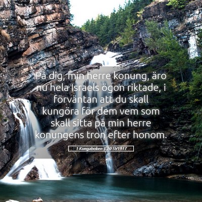 Picture 05 - 1 Kungaboken 1:20 SV1917 - På dig, min herre konung, äro nu hela Israels - Bible Verse Picture