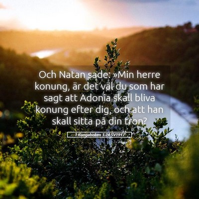 Picture 05 - 1 Kungaboken 1:24 SV1917 - Och Natan sade: »Min herre konung, är det väl - Bible Verse Picture