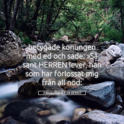 Picture 05 - 1 Kungaboken 1:29 SV1917 - betygade konungen med ed och sade: »Så sant - Bible Verse Picture