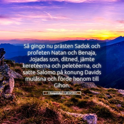 Picture 05 - 1 Kungaboken 1:38 SV1917 - Så gingo nu prästen Sadok och profeten Natan - Bible Verse Picture