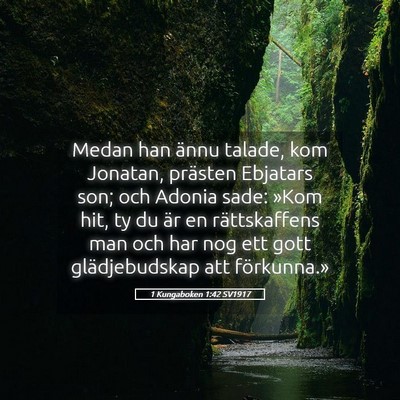 Picture 05 - 1 Kungaboken 1:42 SV1917 - Medan han ännu talade, kom Jonatan, prästen - Bible Verse Picture
