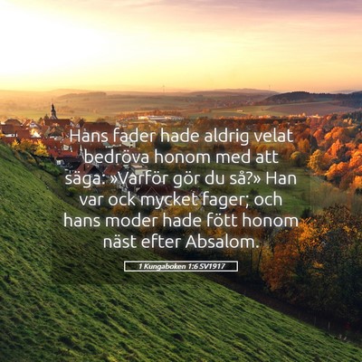 Picture 05 - 1 Kungaboken 1:6 SV1917 - Hans fader hade aldrig velat bedröva honom med - Bible Verse Picture