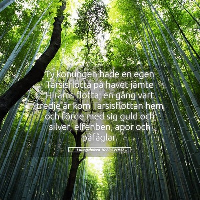 Picture 05 - 1 Kungaboken 10:22 SV1917 - Ty konungen hade en egen Tarsisflotta på havet - Bible Verse Picture