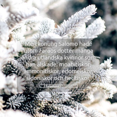 Picture 05 - 1 Kungaboken 11:1 SV1917 - Men konung Salomo hade utom Faraos dotter många - Bible Verse Picture