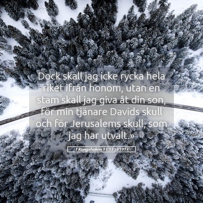 Picture 05 - 1 Kungaboken 11:13 SV1917 - Dock skall jag icke rycka hela riket ifrån - Bible Verse Picture