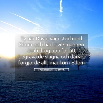 Picture 05 - 1 Kungaboken 11:15 SV1917 - Ty när David var i strid med Edom, och - Bible Verse Picture