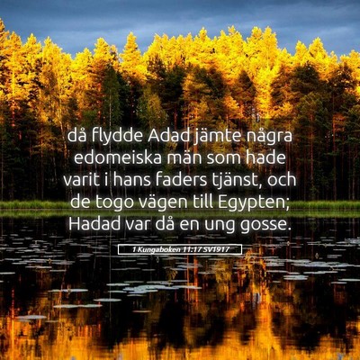 Picture 05 - 1 Kungaboken 11:17 SV1917 - då flydde Adad jämte några edomeiska män som - Bible Verse Picture