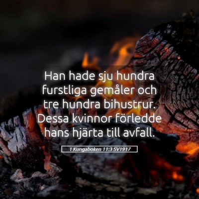 Picture 05 - 1 Kungaboken 11:3 SV1917 - Han hade sju hundra furstliga gemåler och tre - Bible Verse Picture