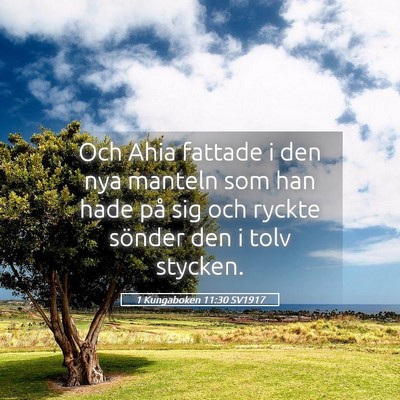 Picture 05 - 1 Kungaboken 11:30 SV1917 - Och Ahia fattade i den nya manteln som han hade - Bible Verse Picture