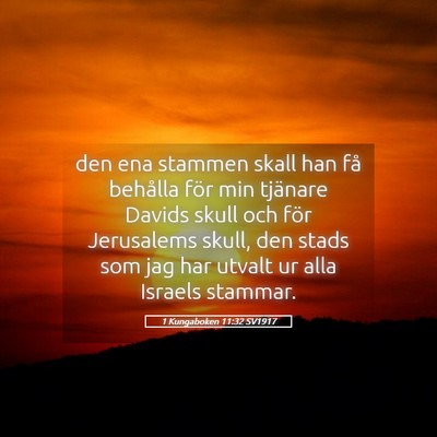 Picture 05 - 1 Kungaboken 11:32 SV1917 - den ena stammen skall han få behålla för min - Bible Verse Picture