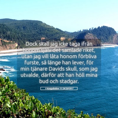 Picture 05 - 1 Kungaboken 11:34 SV1917 - Dock skall jag icke taga ifrån honom själv det - Bible Verse Picture