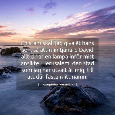 Picture 05 - 1 Kungaboken 11:36 SV1917 - En stam skall jag giva åt hans son, så att min - Bible Verse Picture