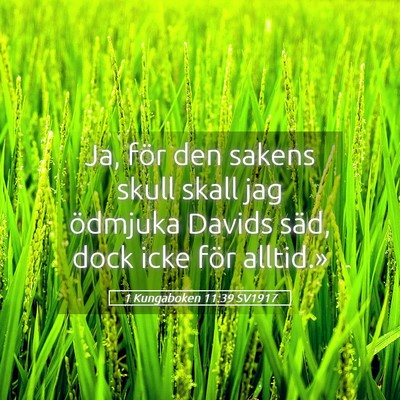 Picture 05 - 1 Kungaboken 11:39 SV1917 - Ja, för den sakens skull skall jag ödmjuka - Bible Verse Picture