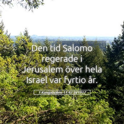 Picture 05 - 1 Kungaboken 11:42 SV1917 - Den tid Salomo regerade i Jerusalem över hela - Bible Verse Picture