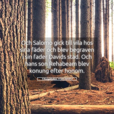 Picture 05 - 1 Kungaboken 11:43 SV1917 - Och Salomo gick till vila hos sina fäder och - Bible Verse Picture