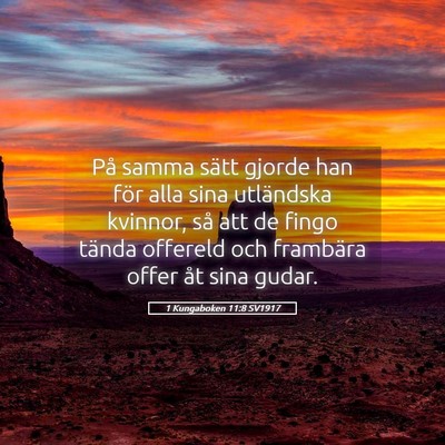 Picture 05 - 1 Kungaboken 11:8 SV1917 - På samma sätt gjorde han för alla sina - Bible Verse Picture