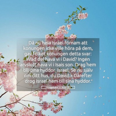 Picture 05 - 1 Kungaboken 12:16 SV1917 - Då nu hela Israel förnam att konungen icke - Bible Verse Picture