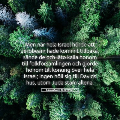 Picture 05 - 1 Kungaboken 12:20 SV1917 - Men när hela Israel hörde att Jerobeam hade - Bible Verse Picture