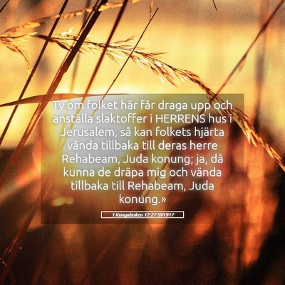 Picture 05 - 1 Kungaboken 12:27 SV1917 - Ty om folket här får draga upp och anställa - Bible Verse Picture