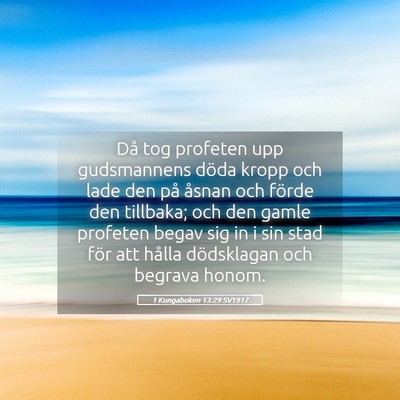 Picture 05 - 1 Kungaboken 13:29 SV1917 - Då tog profeten upp gudsmannens döda kropp och - Bible Verse Picture