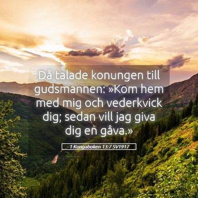 Picture 05 - 1 Kungaboken 13:7 SV1917 - Då talade konungen till gudsmannen: »Kom hem - Bible Verse Picture