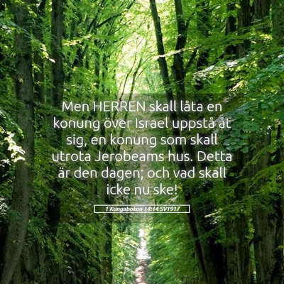 Picture 05 - 1 Kungaboken 14:14 SV1917 - Men HERREN skall låta en konung över Israel - Bible Verse Picture