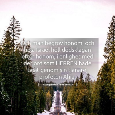 Picture 05 - 1 Kungaboken 14:18 SV1917 - Och man begrov honom, och hela Israel höll - Bible Verse Picture