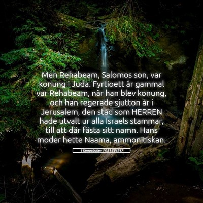 Picture 05 - 1 Kungaboken 14:21 SV1917 - Men Rehabeam, Salomos son, var konung i Juda. - Bible Verse Picture